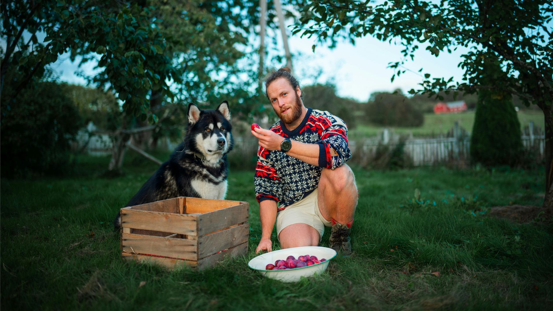 Oogstvriend van Fruitnoot