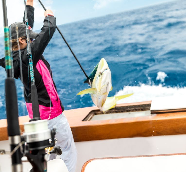 Person on a boat reels in a yellow fish against the blue ocean