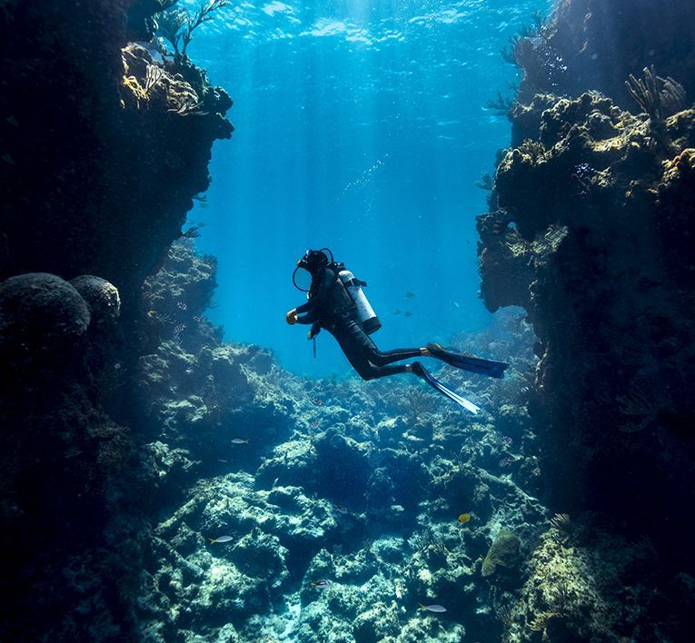 Scuba diver swimming through a blue underwater canyon with coral-covered rock walls