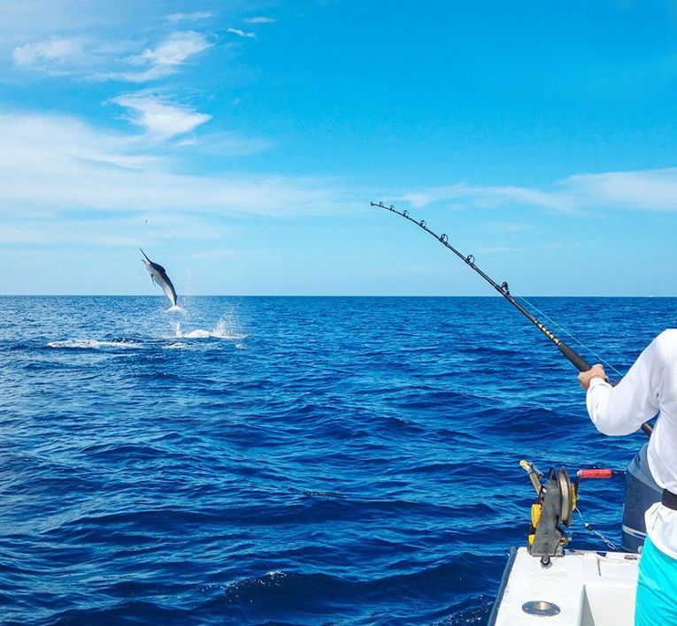 Person fishing from a boat as a fish leaps from the blue ocean under a clear sky