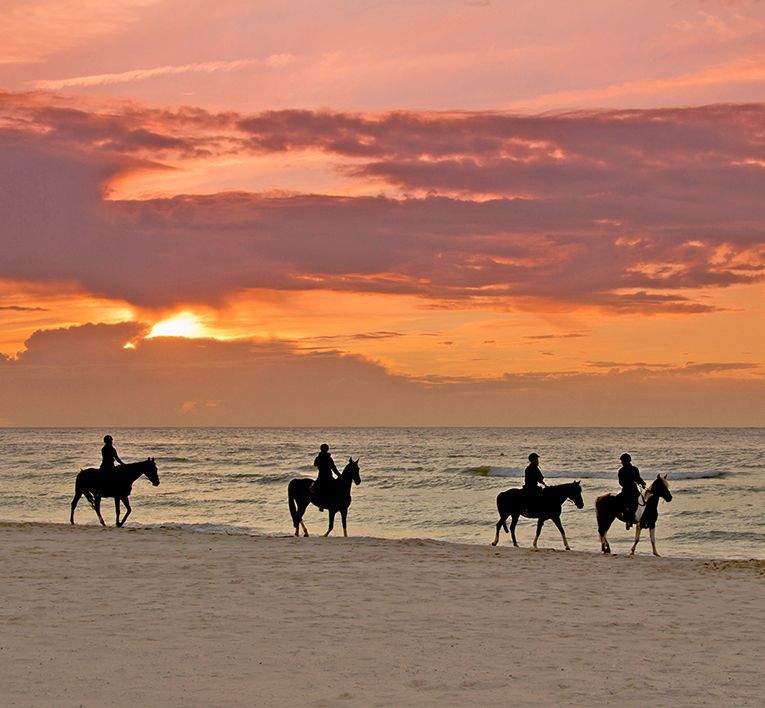 Silhouetted riders on horses at sunset along a sandy beach by the ocean