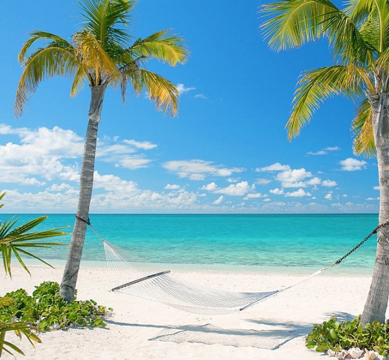 White hammock between palm trees on a sunny tropical beach with turquoise water and blue sky