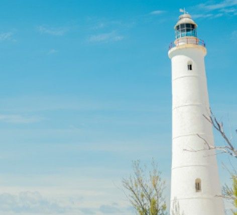 White lighthouse against a clear blue sky, with a small tree in the foreground