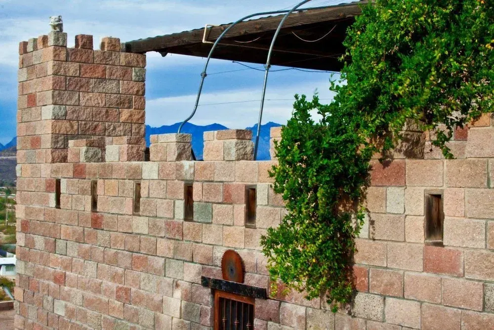Stone wall with crenellations and vine.