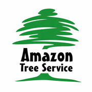 Your Local Arborist in Wollondilly