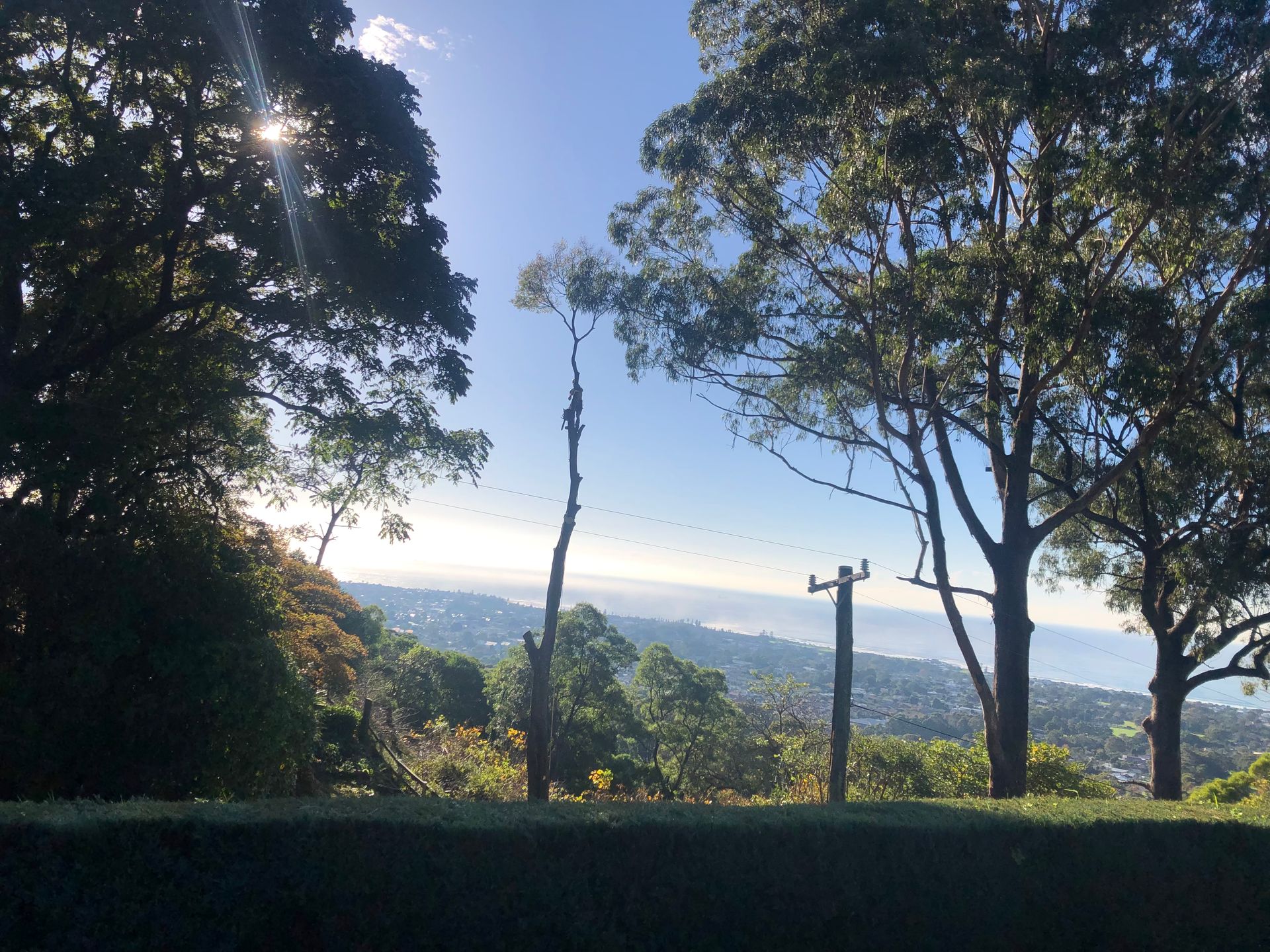 Sunlit hillside view through trees, overlooking a distant valley and clear sky — Amazon Tree Service in Picton, NSW