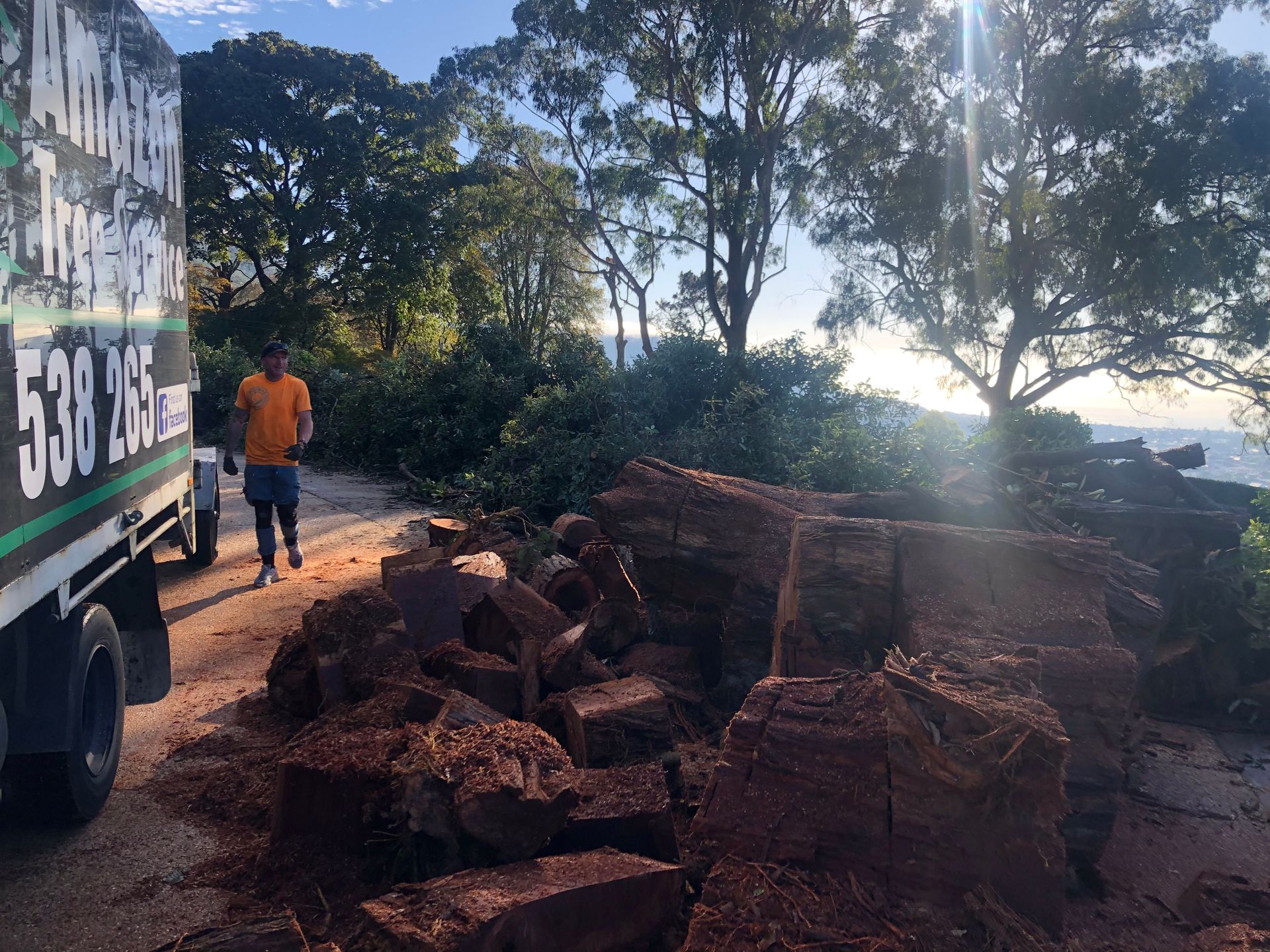 Worker beside truck near piles of brick rubble on a sunny roadside, with trees and houses in the background — Amazon Tree Service in Picton, NSW