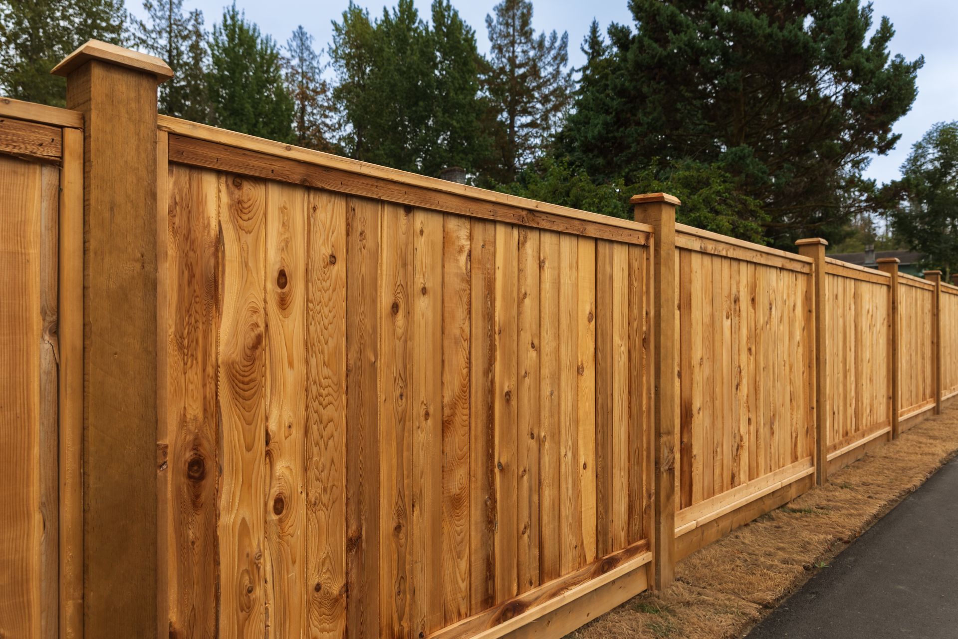 fencing contractor Coldwater MS 3 