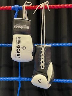 red boxing gloves