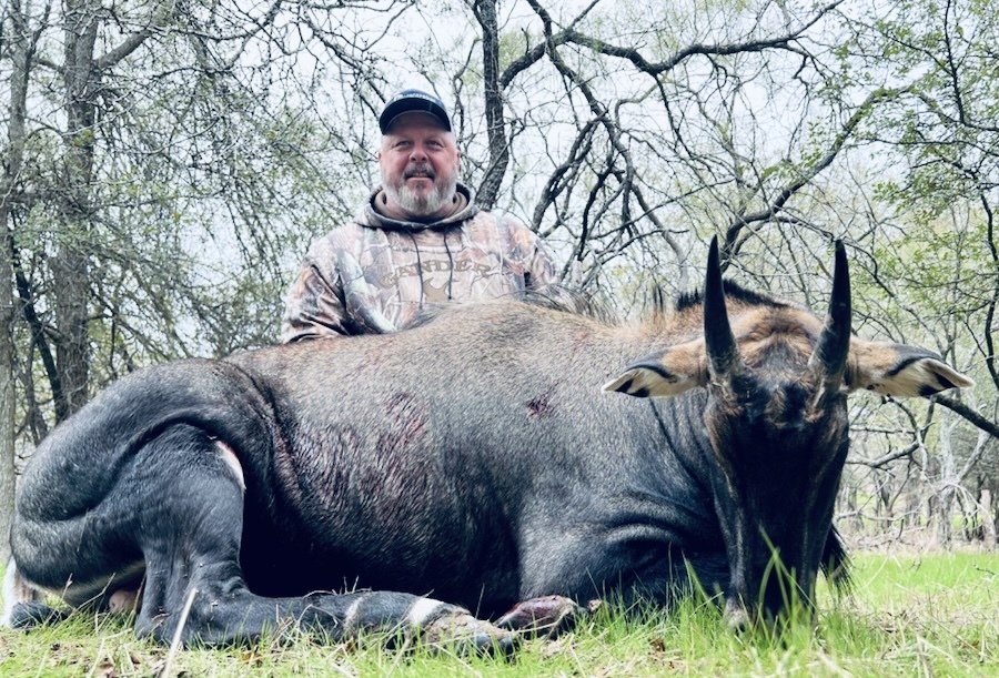 Texas Nilgai Hunting MMK Outfitters