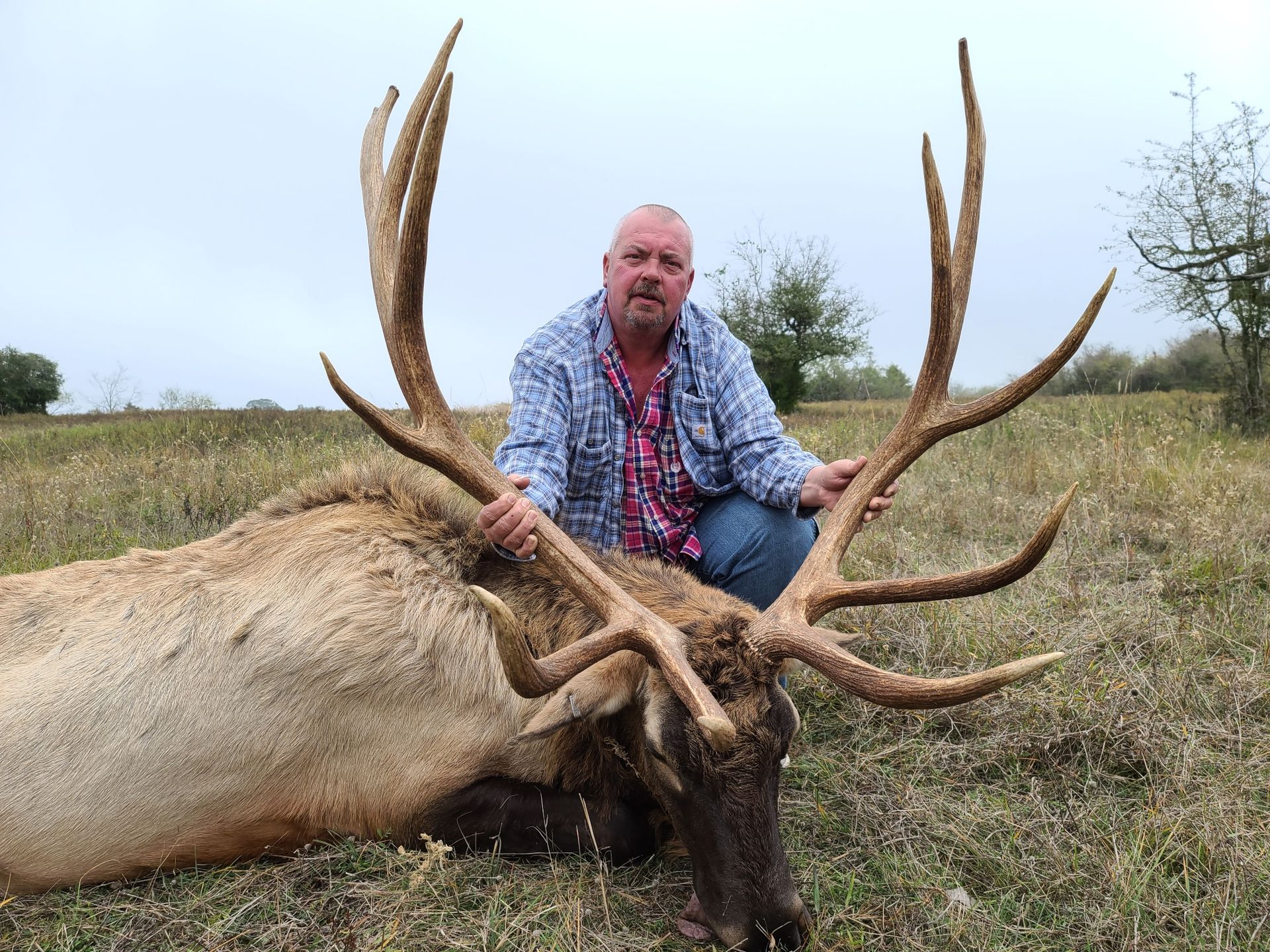 Texas Elk Hunting MMK Outfitters