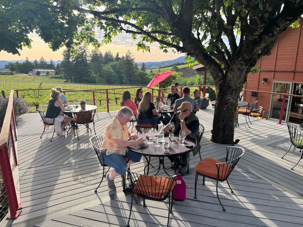 People seated at outdoor café tables on a sunny patio beneath a large tree near a red brick building.