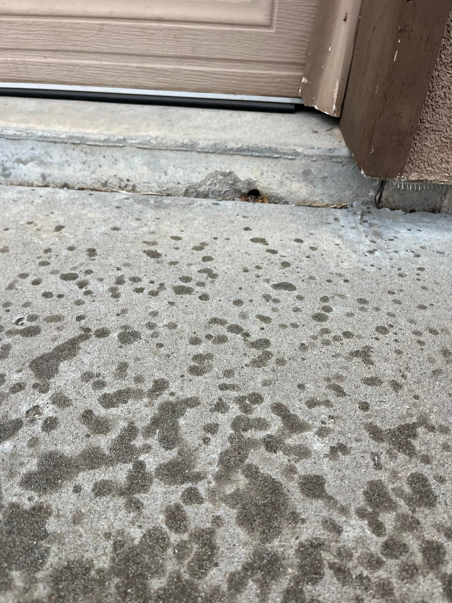 Concrete porch at a doorway, with scattered dark speckles and a small crack near the threshold.