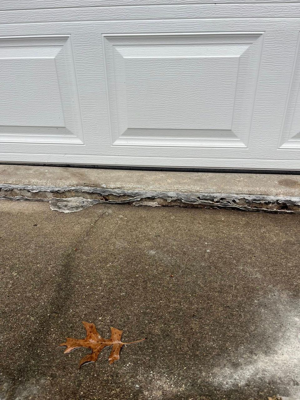 White garage door above wet concrete driveway with a small orange leaf near the bottom.