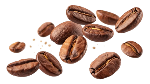 Scattered roasted coffee beans on a white background