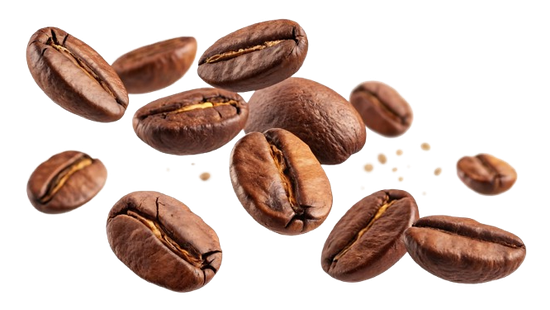 Scattered roasted coffee beans on a white background