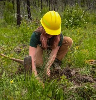 Planting a memorial tree ceremony symbolizes life, remembrance, and a living tribute for families