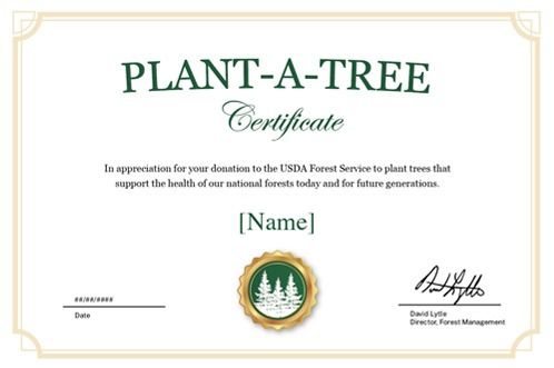 Memorial tree planting certificate representing a lasting tribute honoring loved ones through nature