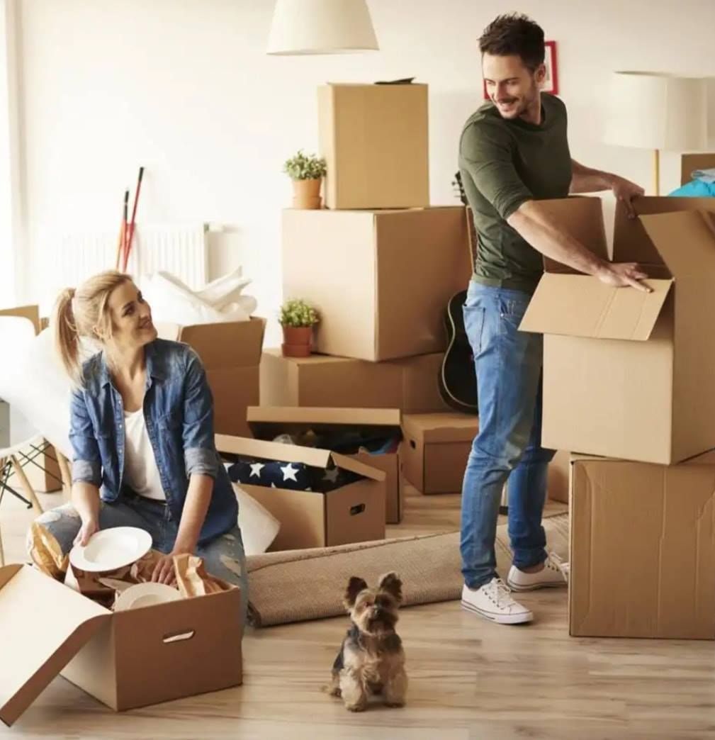 Furniture Movers Waikato
