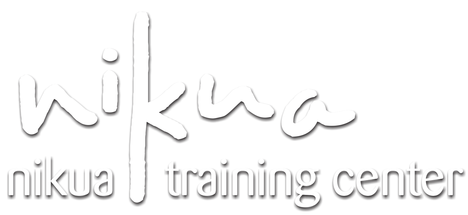 White logo of 