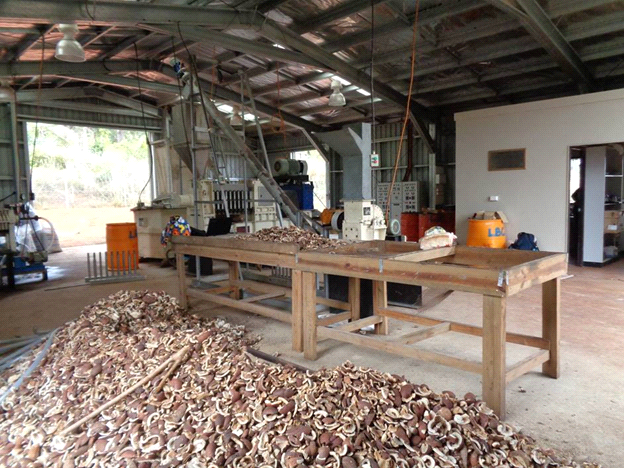 Inside a processing plant, a long wooden table is surrounded by processed wood scraps. Machinery is visible in the background.