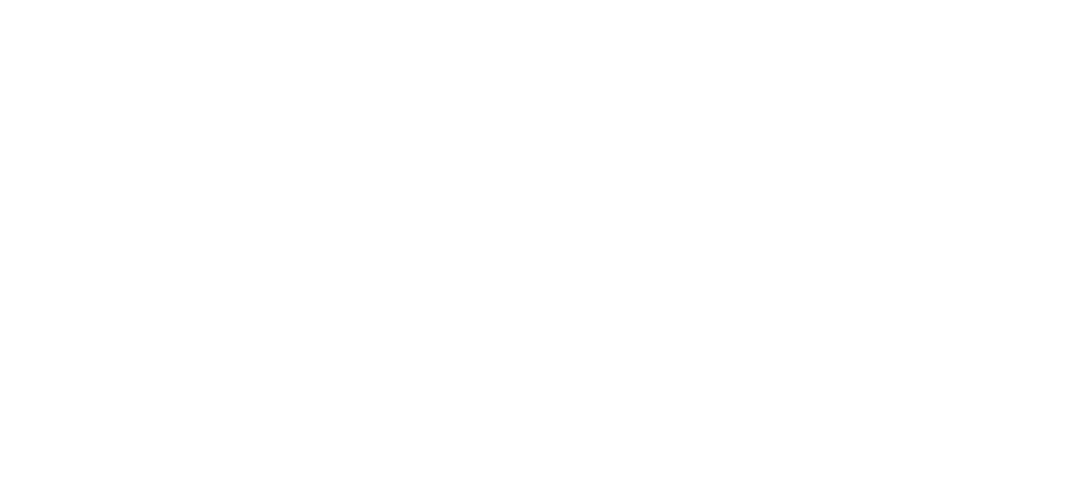 Dignitus 