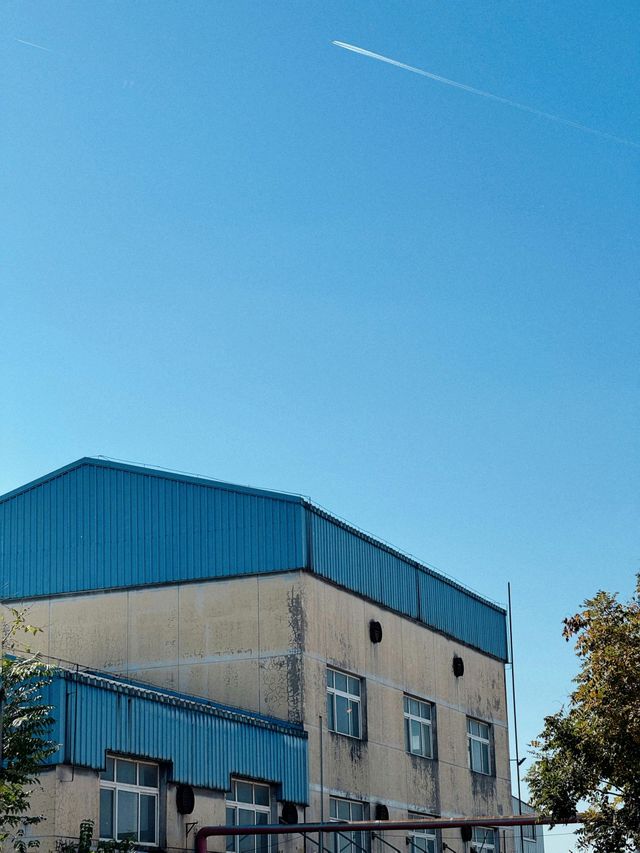 Blue-roofed industrial building under a clear blue sky, with trees at the side.