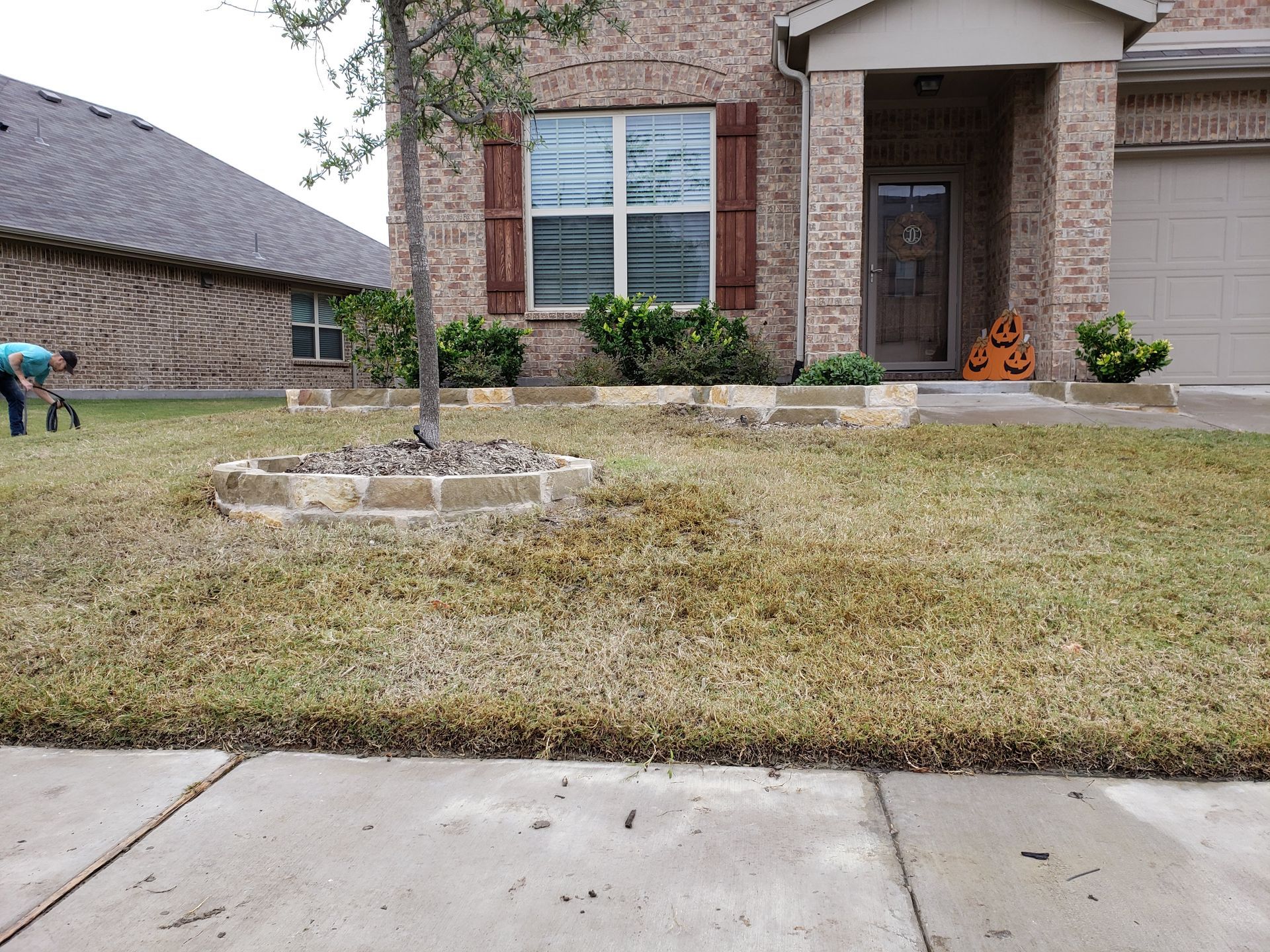 Brown lawn in front of a brick house with a tree and a person working on the grass.