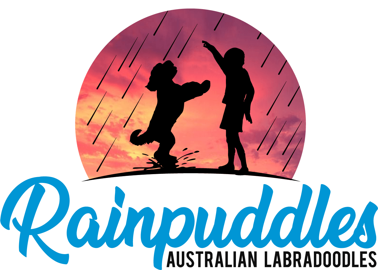 Rainpuddles Logo Rainpuddles Logo