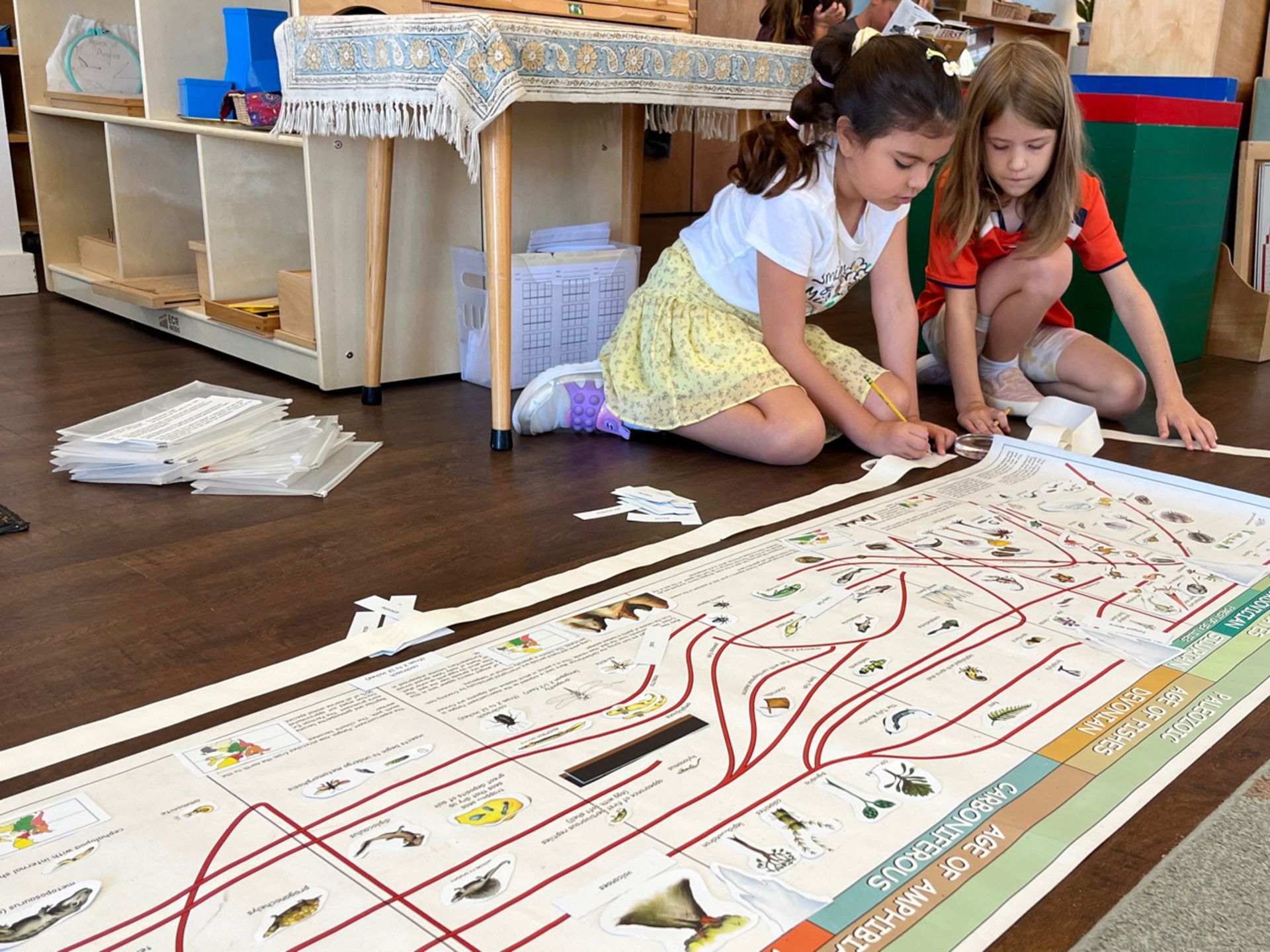 Two Montessori young girls are sitting on the floor looking at a poster that says age of amphibians