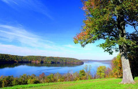 Calm lake with wooded shores under a blue sky, tree with autumn leaves in the foreground.