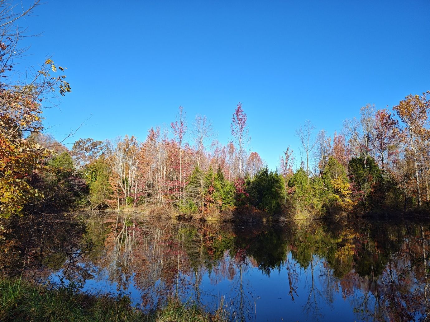 Autumn trees reflected in calm water under a clear blue sky.