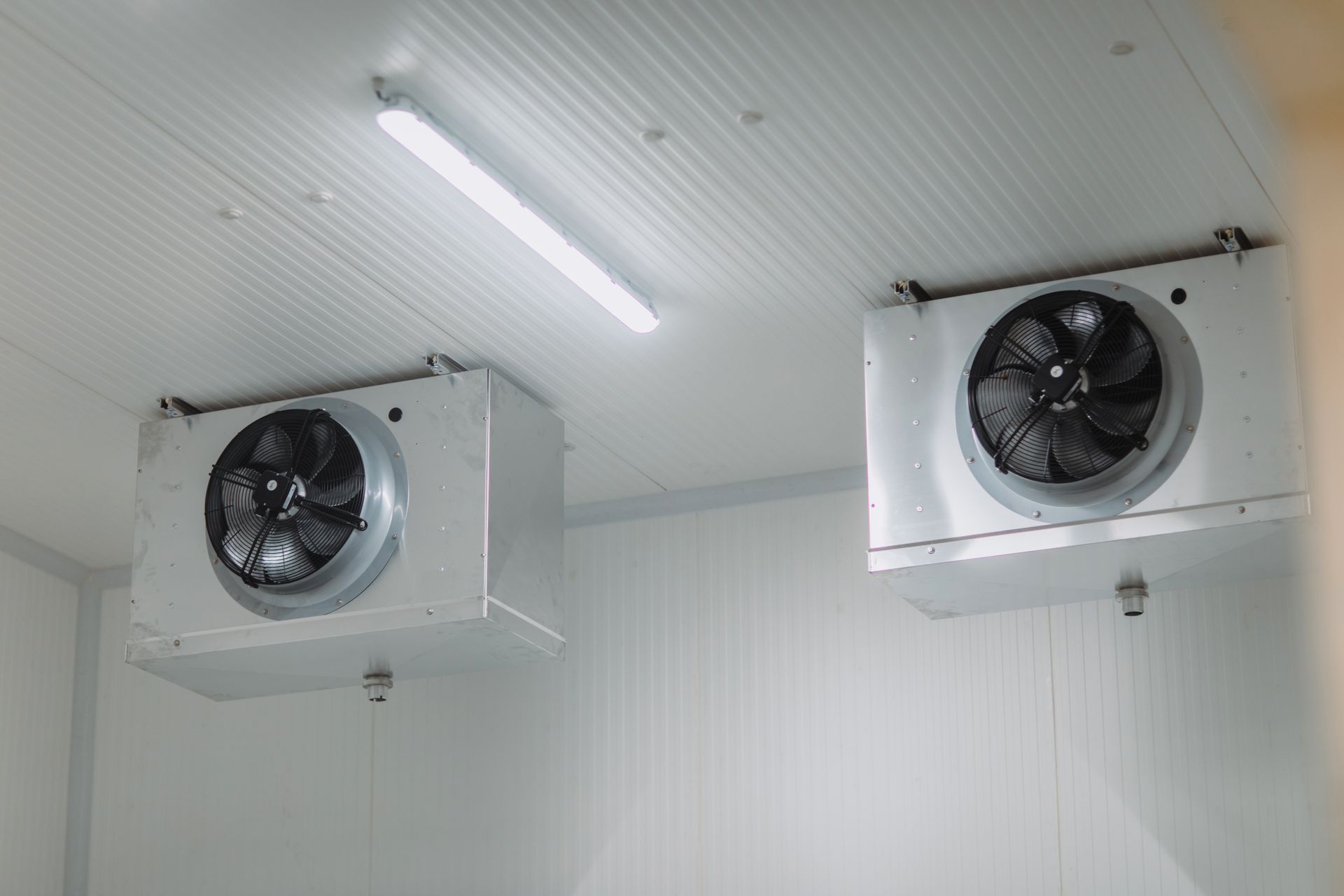 Two Wall-mounted Industrial Fans — CQ Refrigeration Air-Conditioning & Electrical Pty Ltd In Yeppoon, QLD