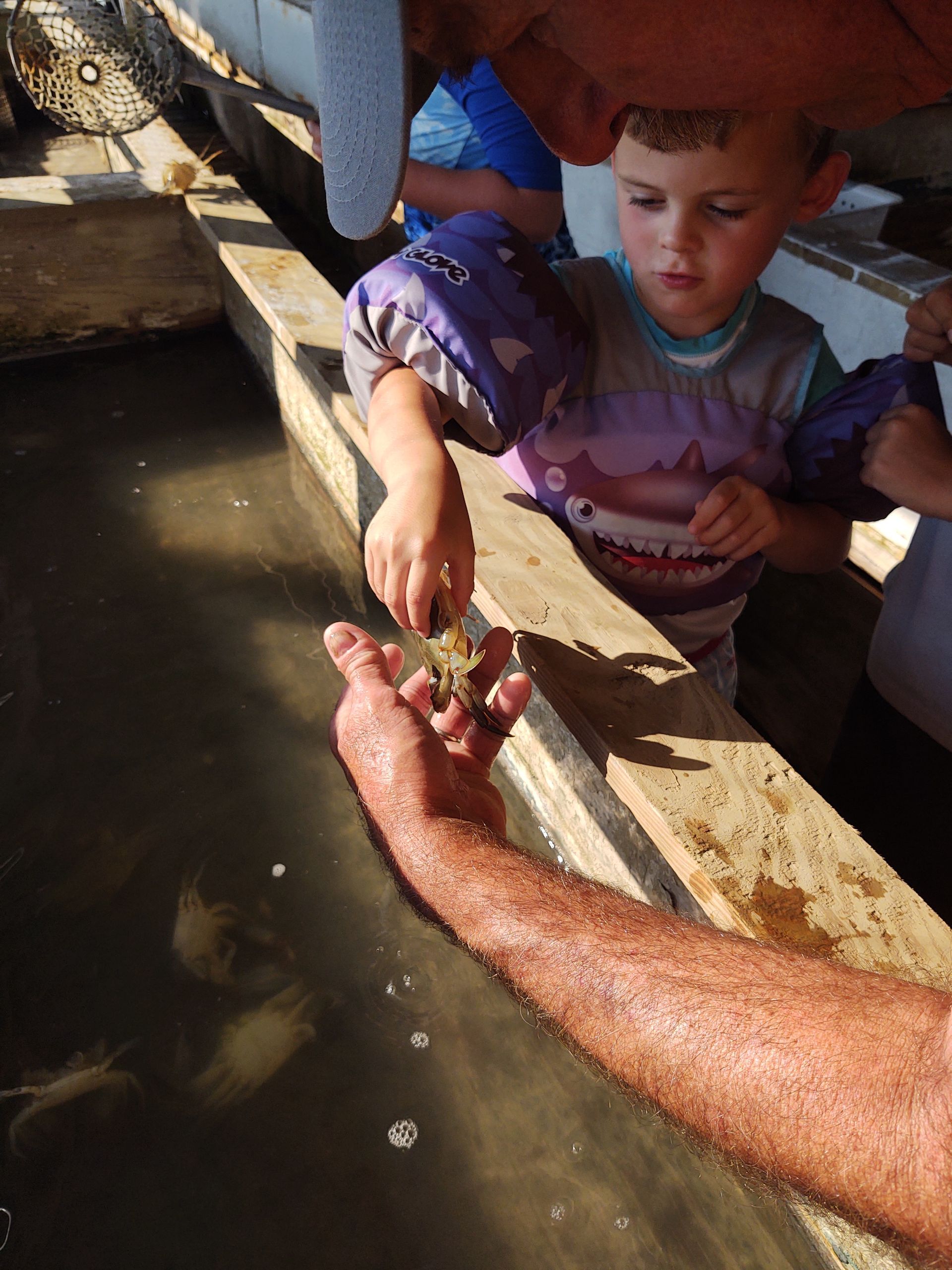 crabbing