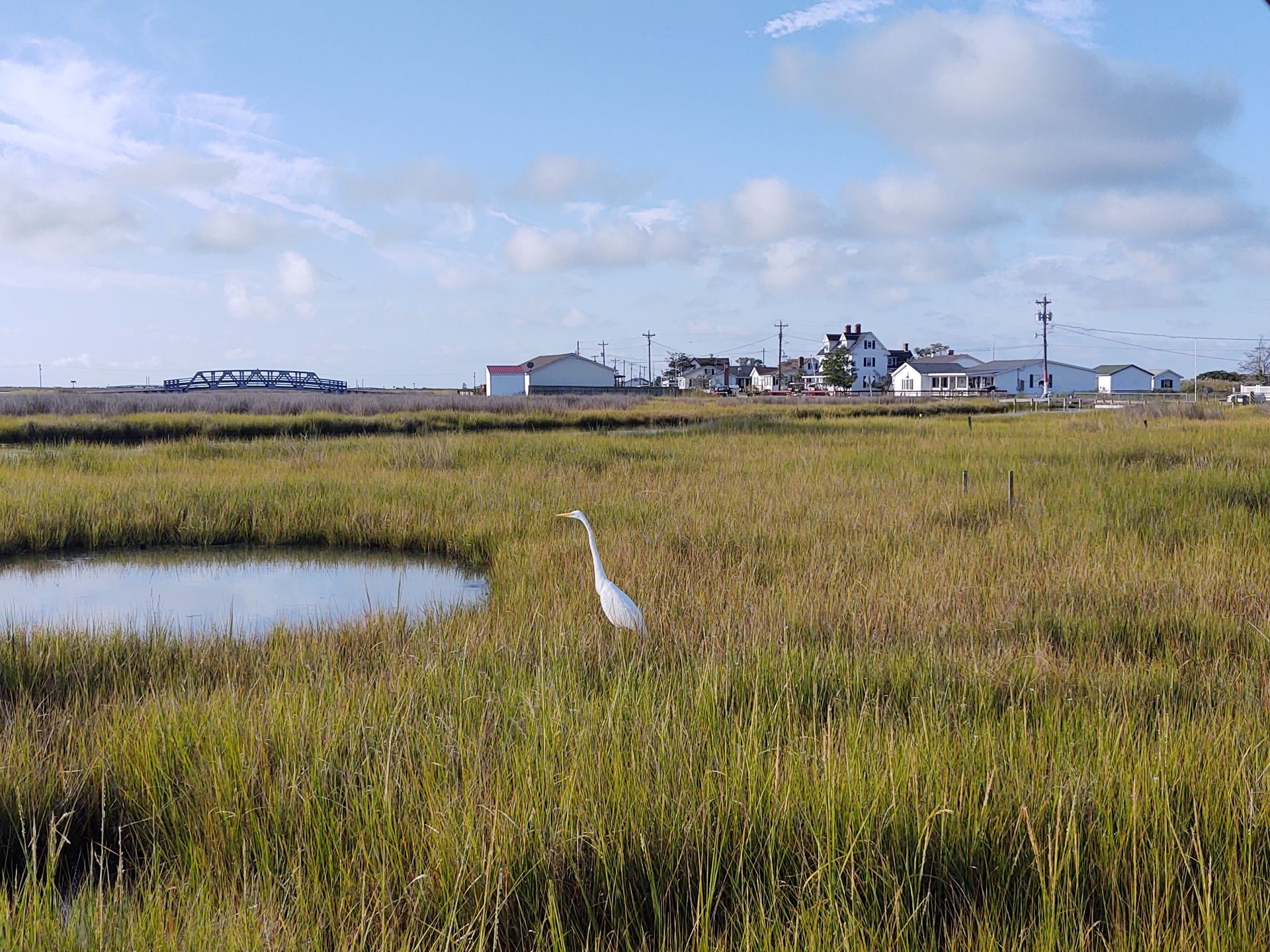 tangier island