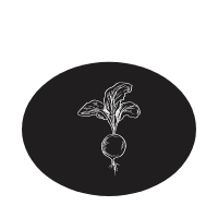 spice icon