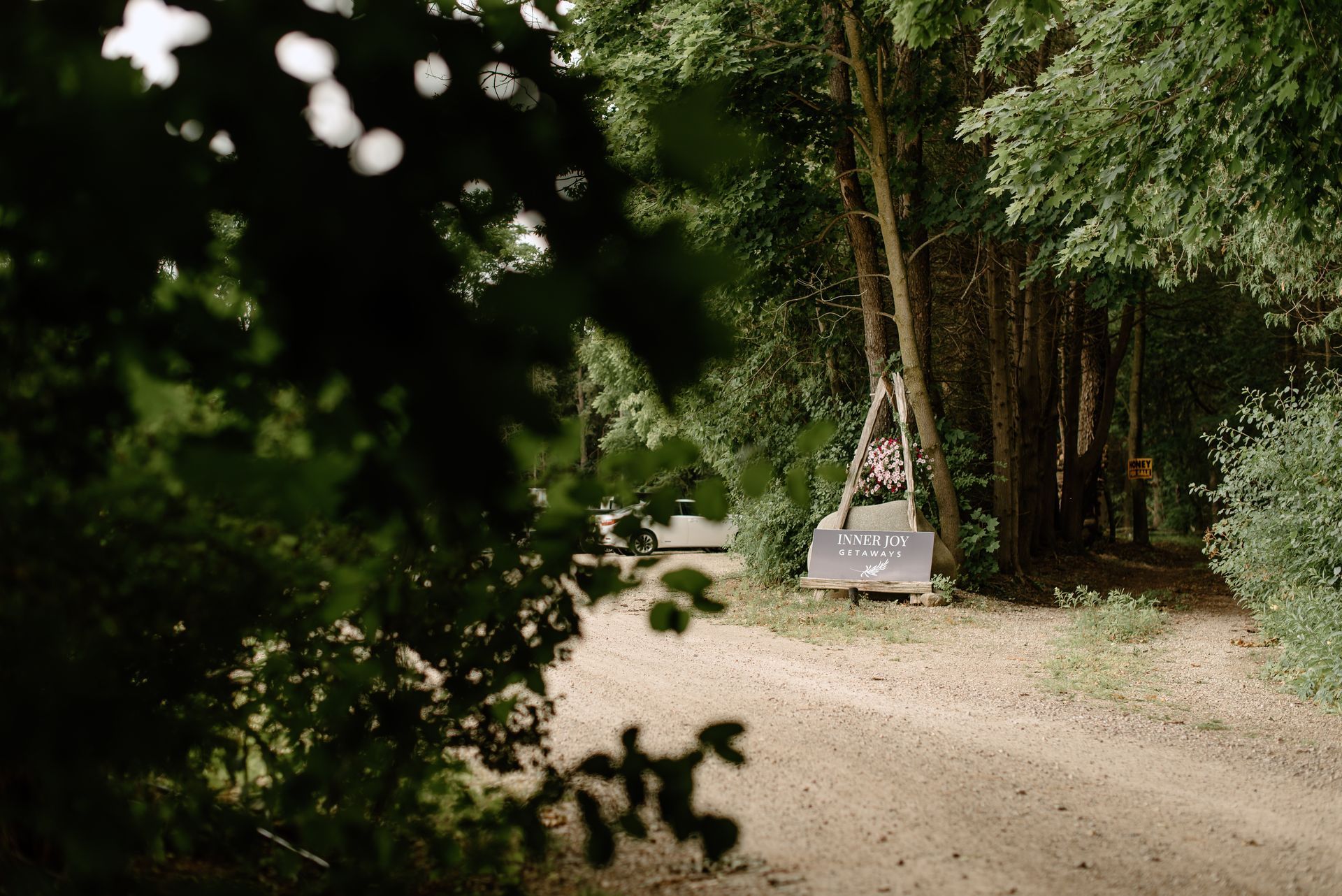 Dirt road through trees, a hanging sign reading 