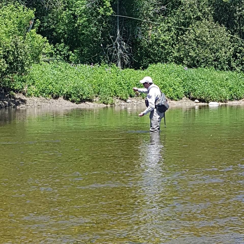 Man fly fishing in a river. He's wearing waders, a hat, and casting a line. Lush greenery in background.
