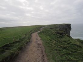 Dirt path on grassy cliffside, overlooking ocean under a cloudy sky.