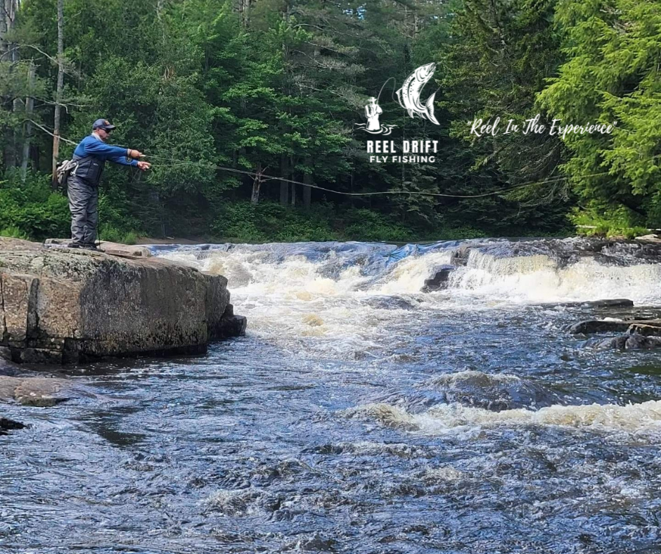 Angler fly fishing a river with a small waterfall, surrounded by trees.