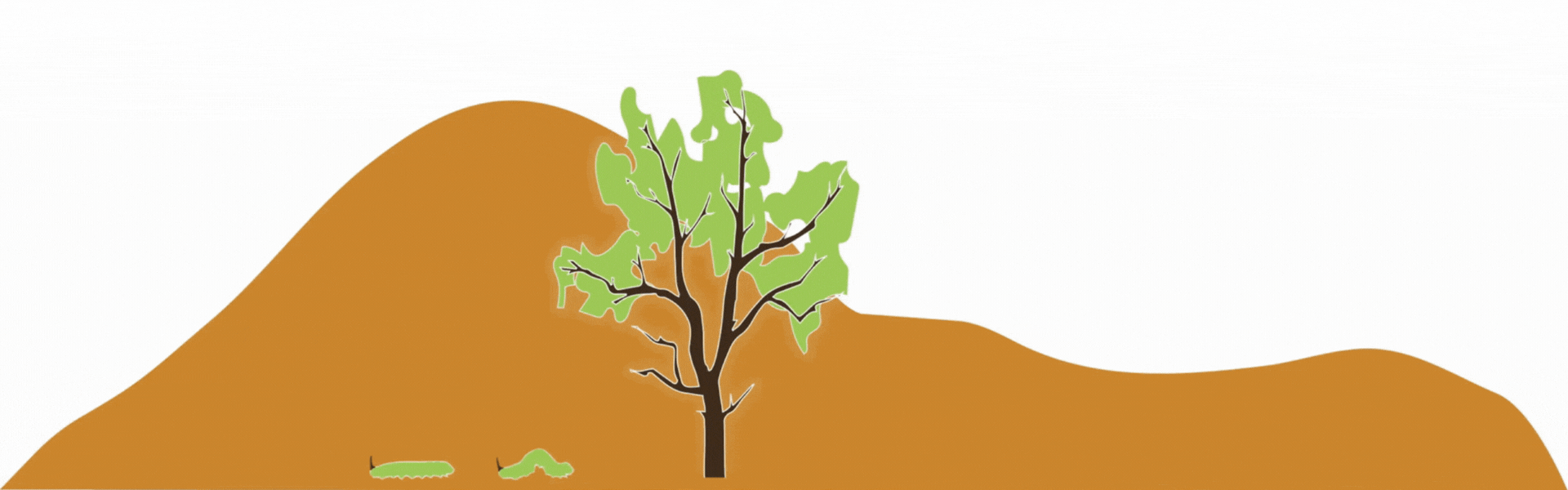Brown hills with a tree and small green plants against a white background.