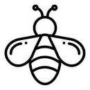 Picture of large bee, heading for adult individual therapy
