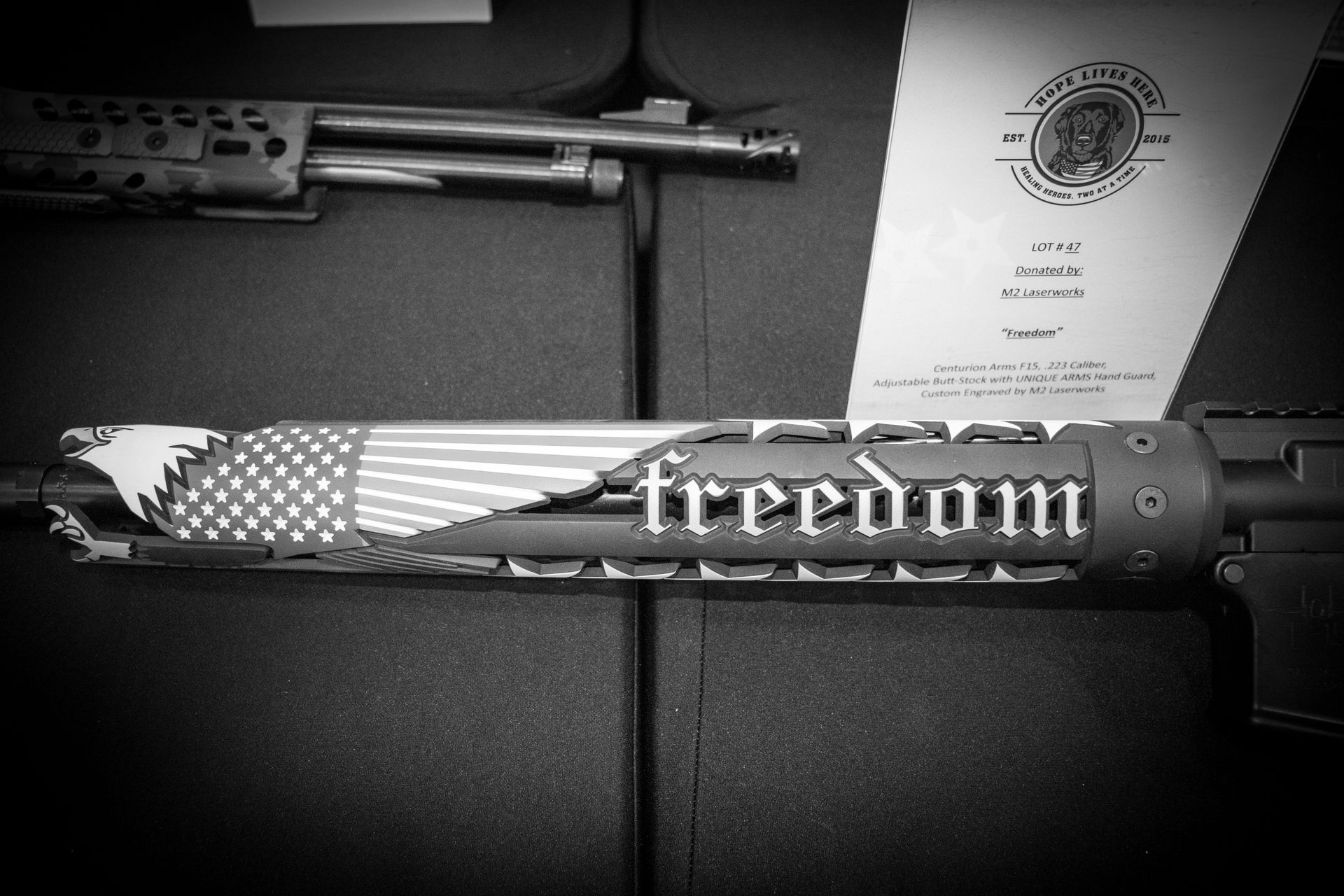 A rifle handguard featuring an American flag, an eagle, and the word 