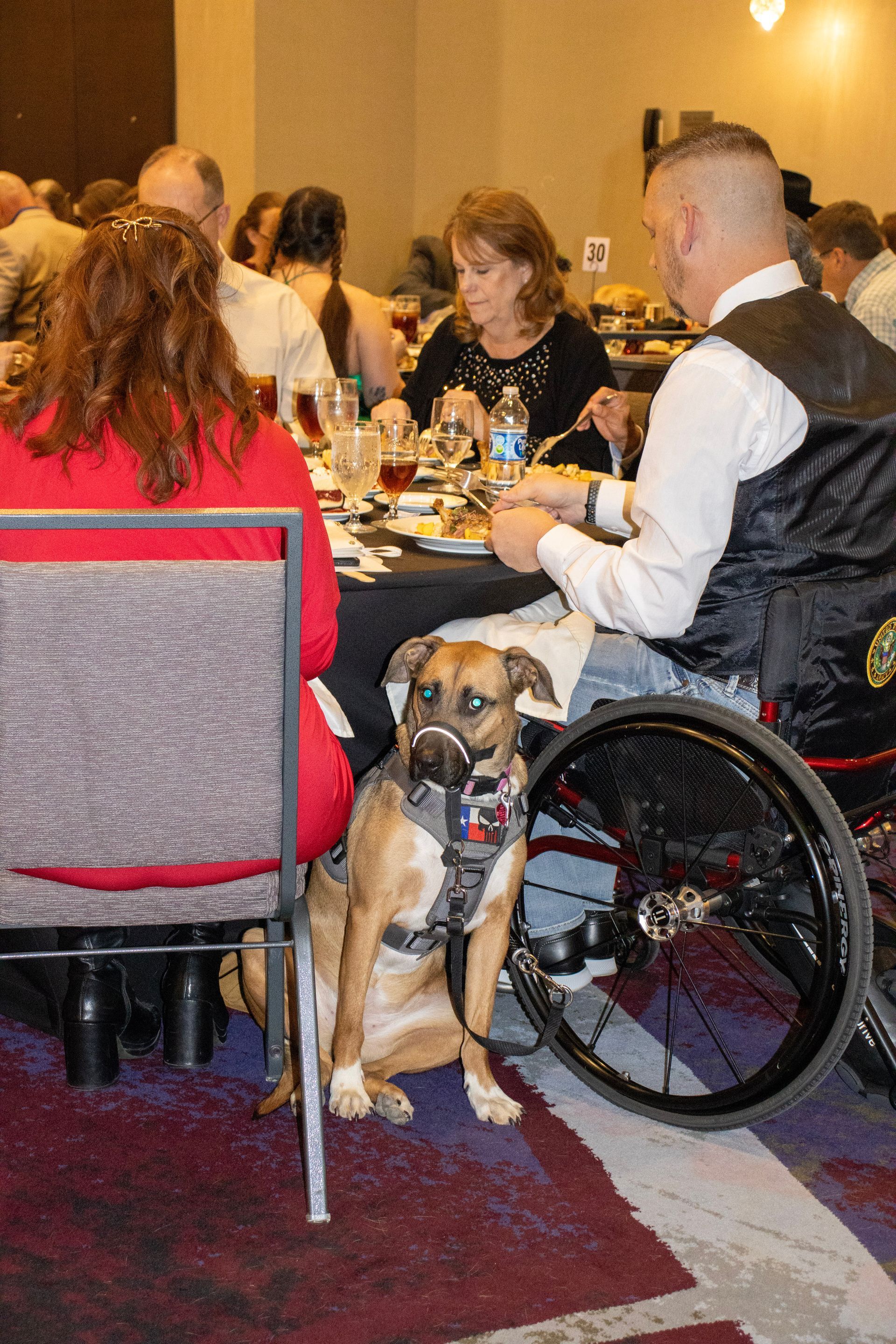 A service dog in a harness sits under a table between a person in a red shirt and a person using a wheelchair.