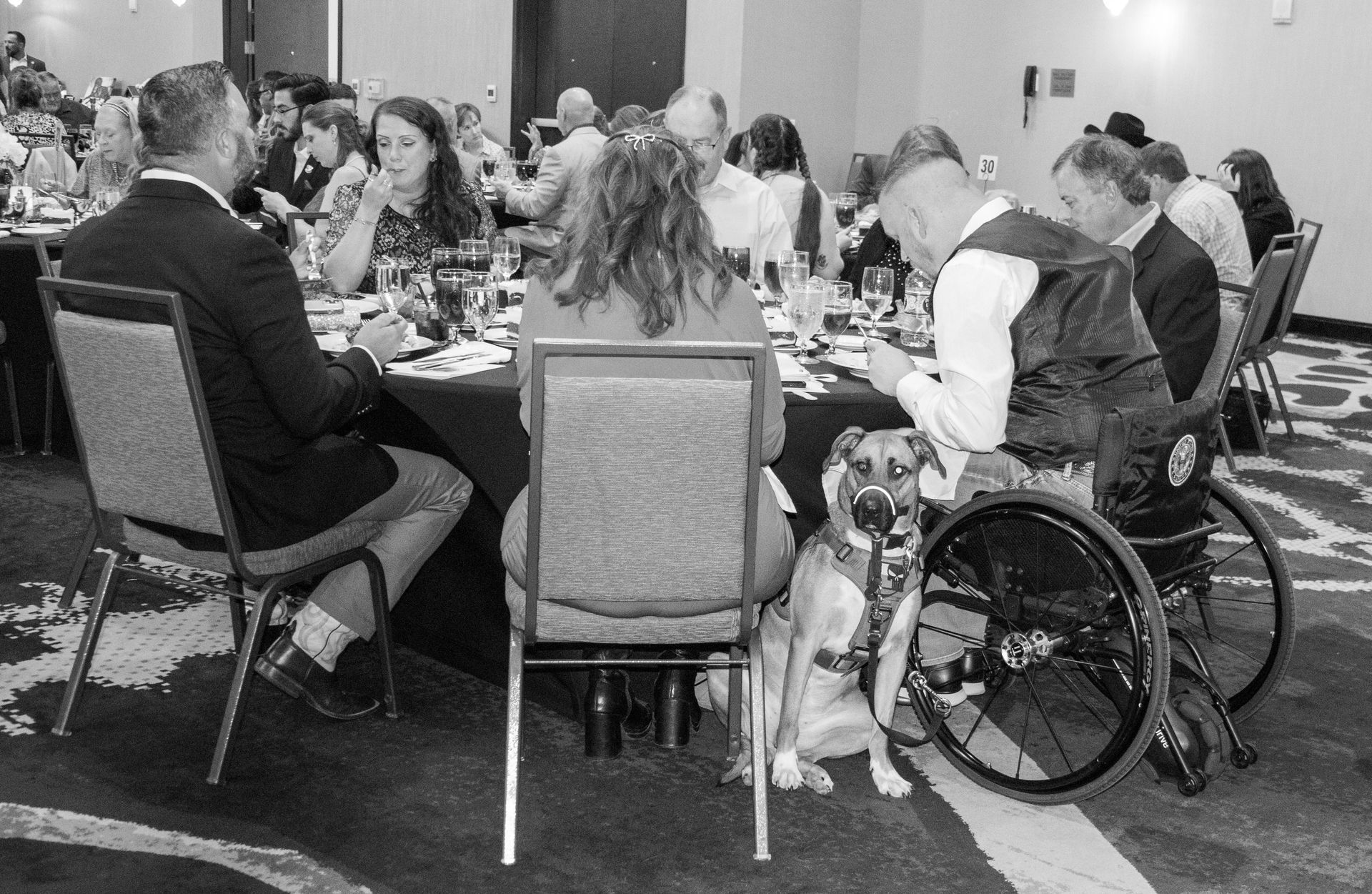 People seated at tables in a ballroom, including a man in a wheelchair with a service dog sitting beside him.
