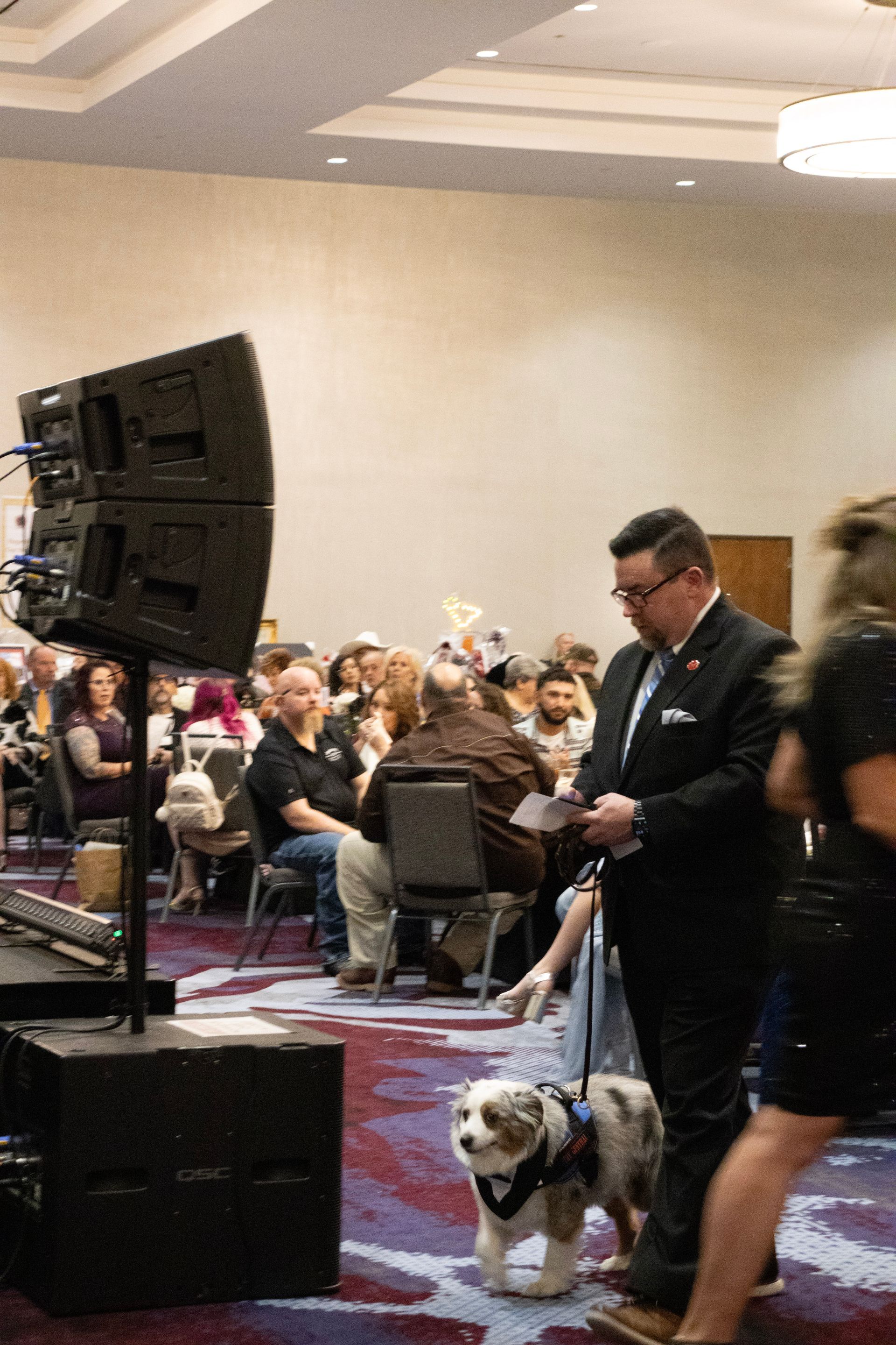 A person in a suit walks through a hotel ballroom, holding the leash of a small dog wearing a harness.