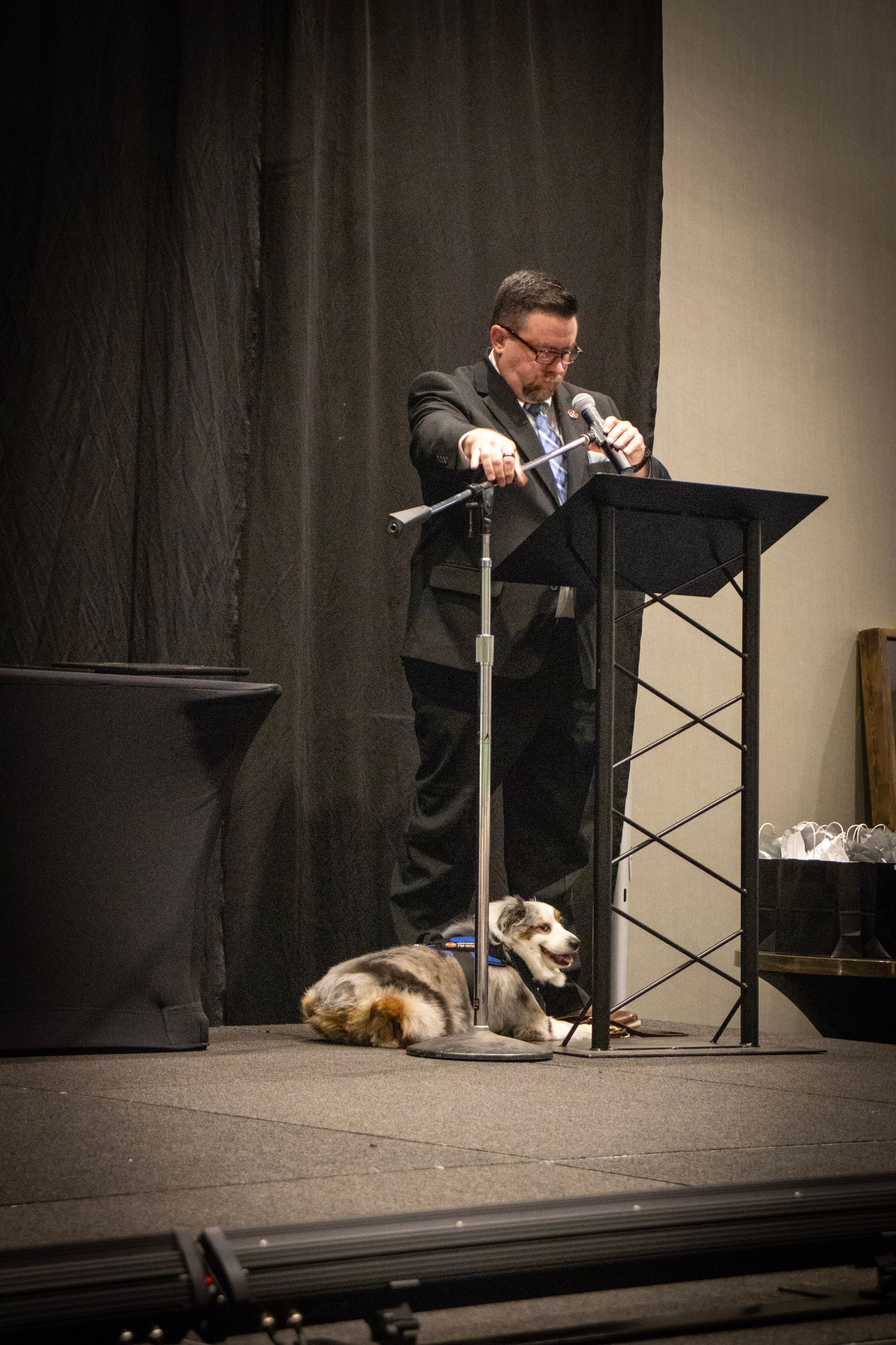 A person in a suit stands at a podium giving a presentation, with a dog lying calmly on the floor next to them.