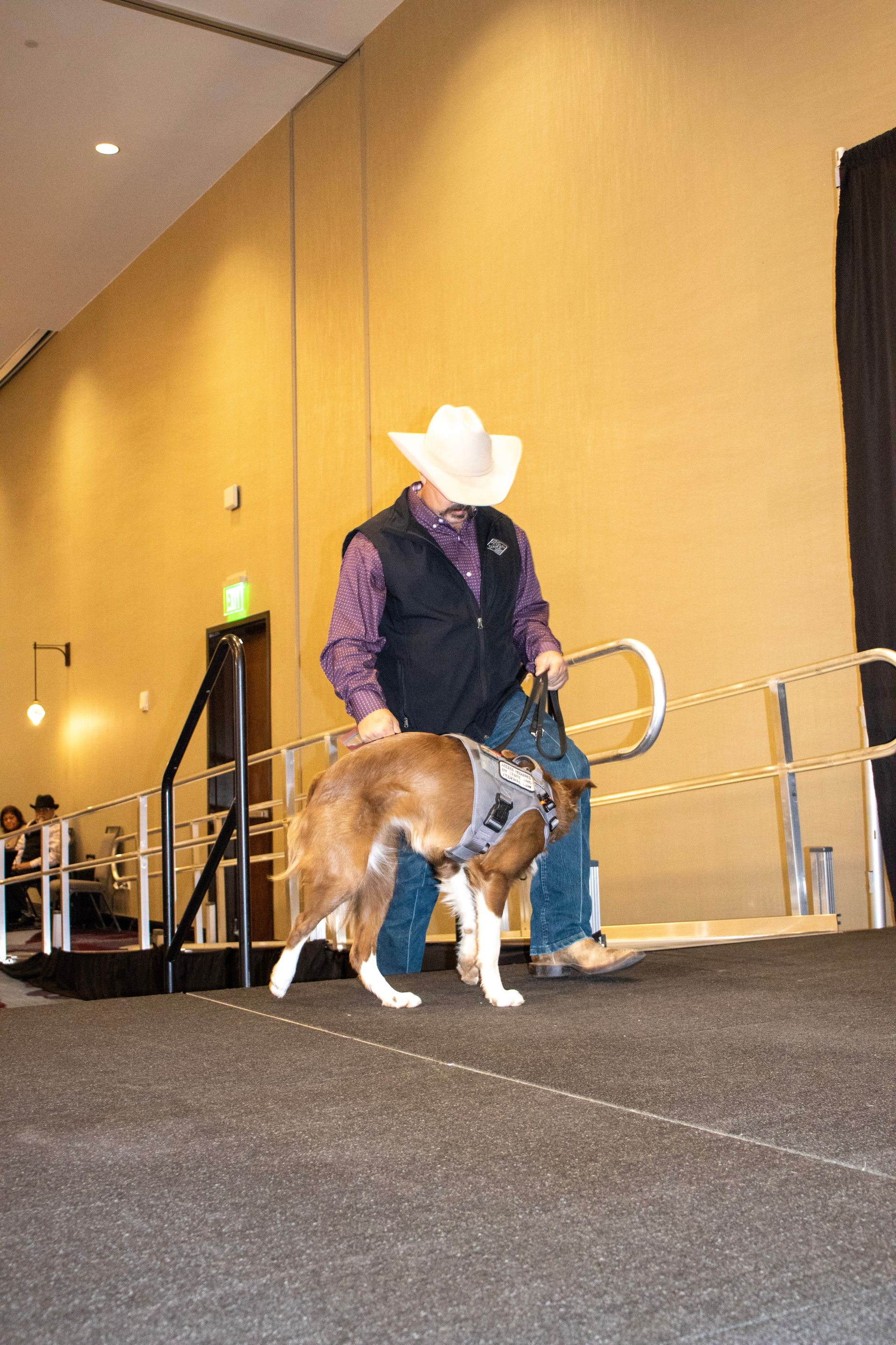 A person wearing a cowboy hat and vest walks a dog wearing a grey service vest across a carpeted stage.