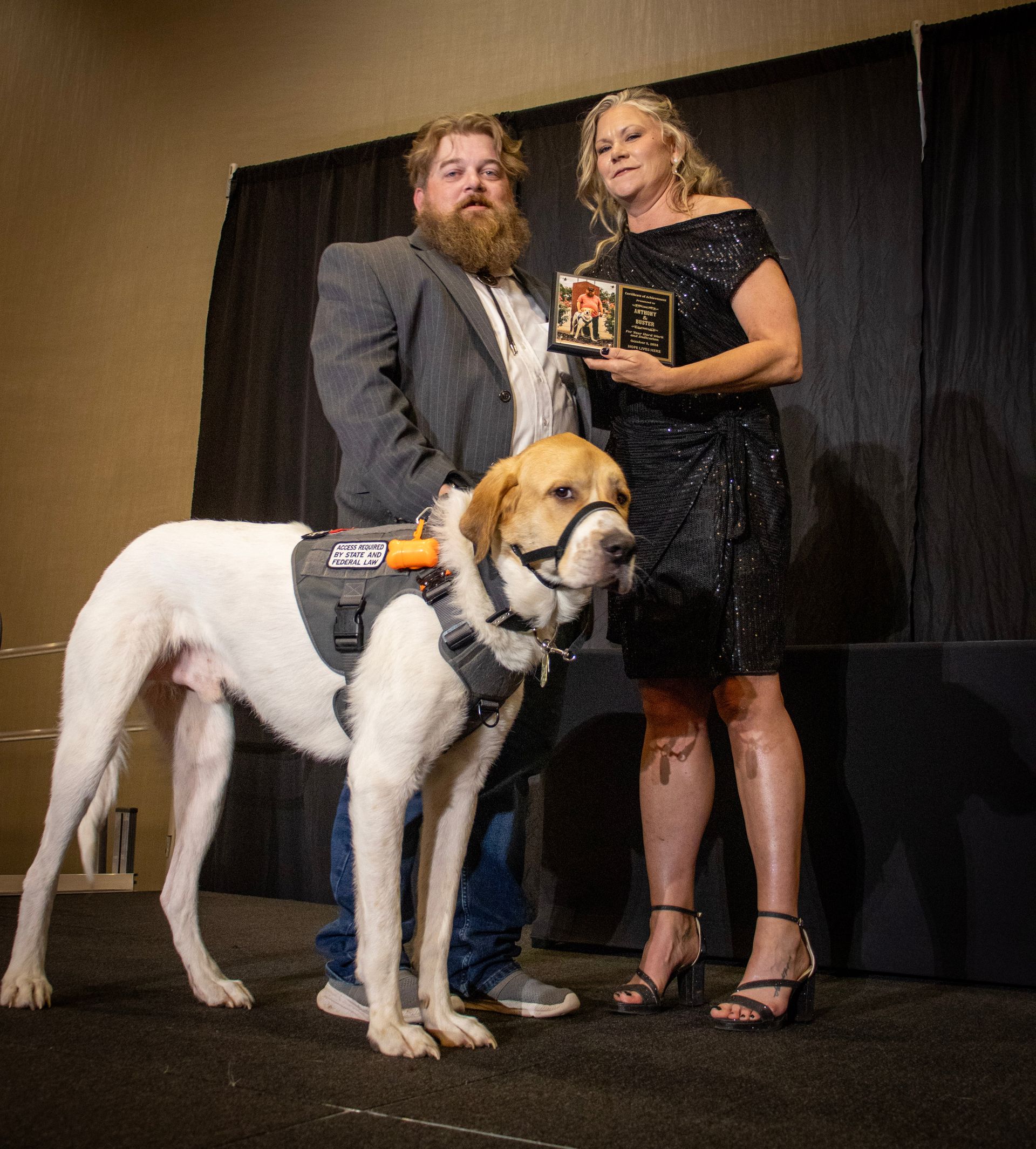 A man and a woman in formal attire stand on a stage next to a large white dog wearing a service vest and head halter.