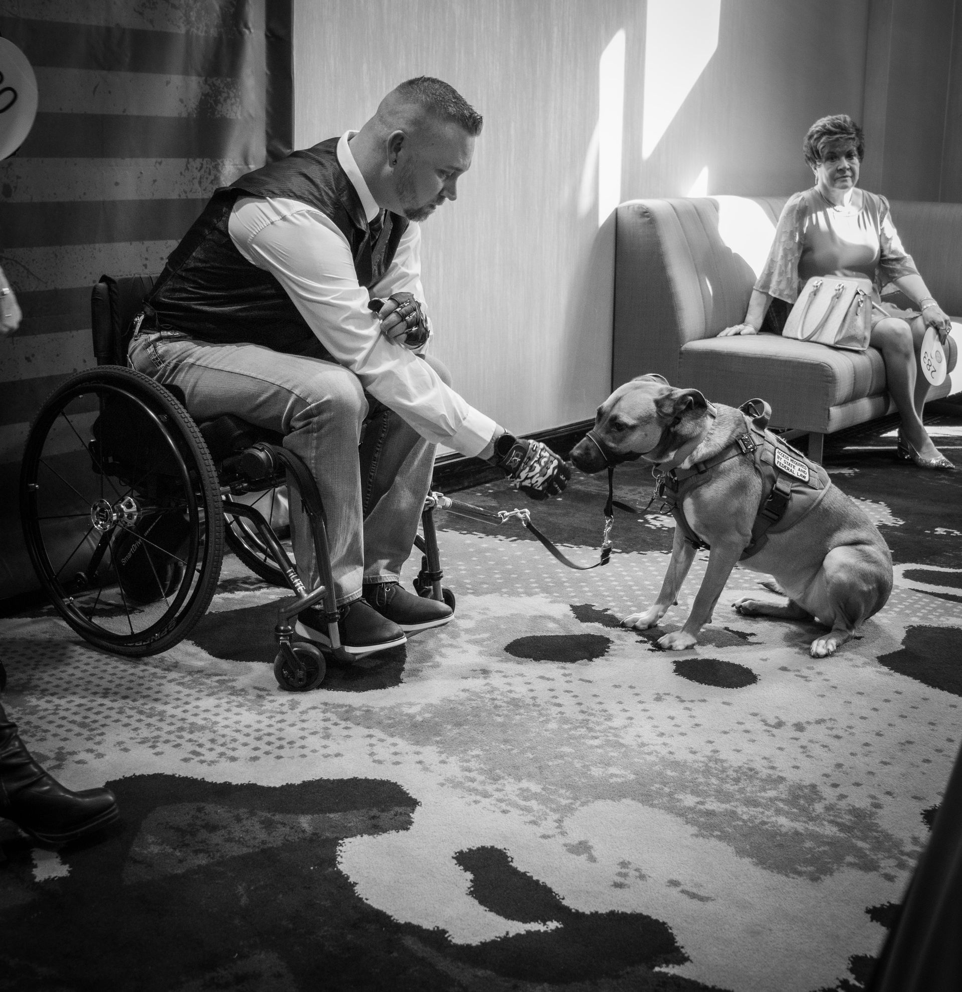 A person in a wheelchair reaching out to hold the leash of a sitting service dog, with a person seated in the background.